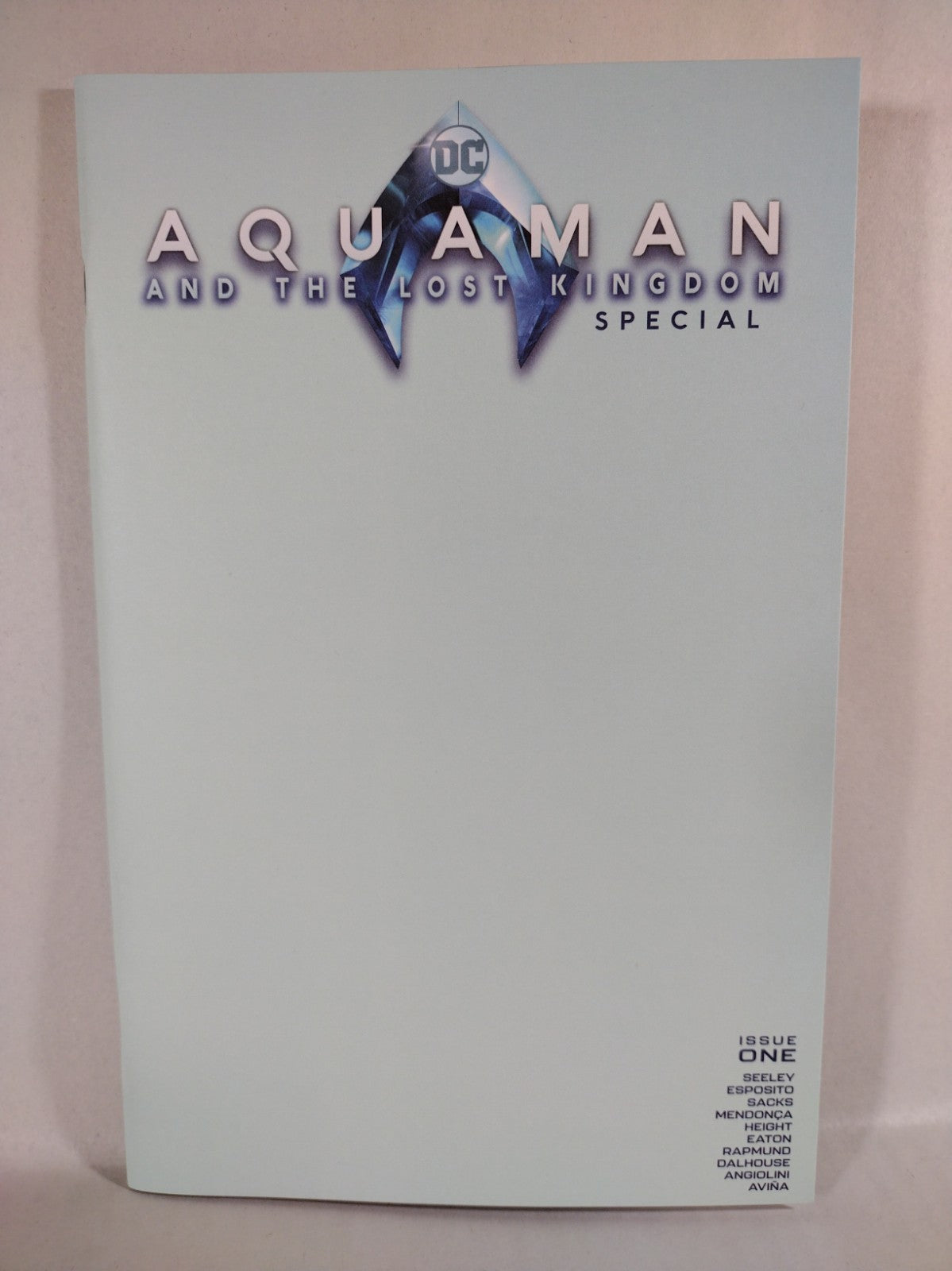Aquaman & The Lost Kingdom #1 (2024) DC Comic BLANK Sketch Cover Variant NM