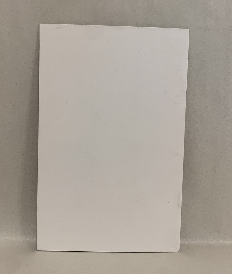 RAINBOW BRITE #1 Blank Sketch Variant Cover Comic 438 W Original Art Dave Castr