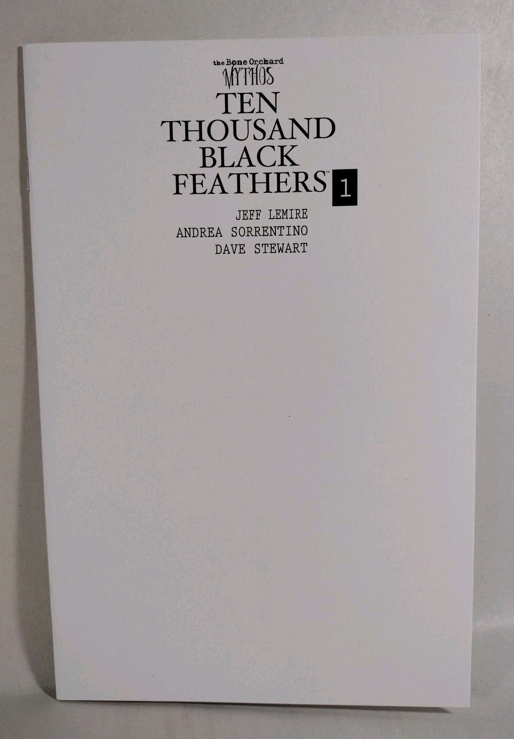 BONE ORCHARD Ten Thousand Black Feathers #1 (2022) Image Comic Blank Cover Var