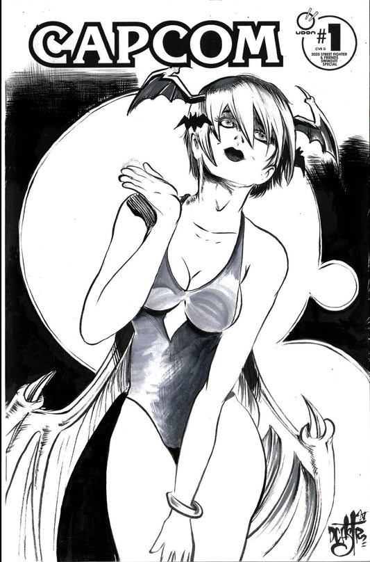 Capcom Street Fighter & Friends Swimsuit Special #1 Sketch Cover W Original Art