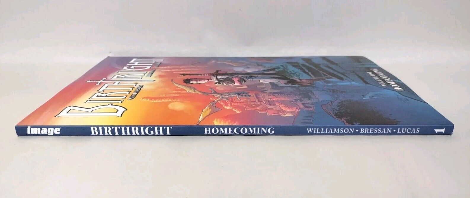 Birthright Vol 1 Homecoming (2018) Image Comics Joshua Williamson TPB New 