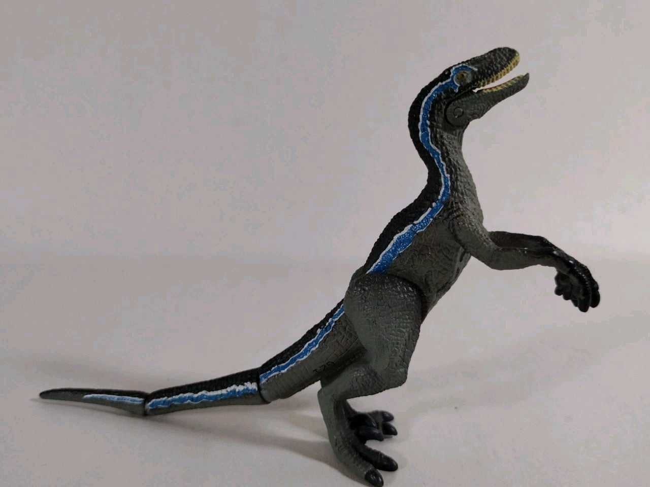 Takara Tomy Ania Jurassic World Blue Snow Ver Dinosaur Toy Japan Exclusive Loose