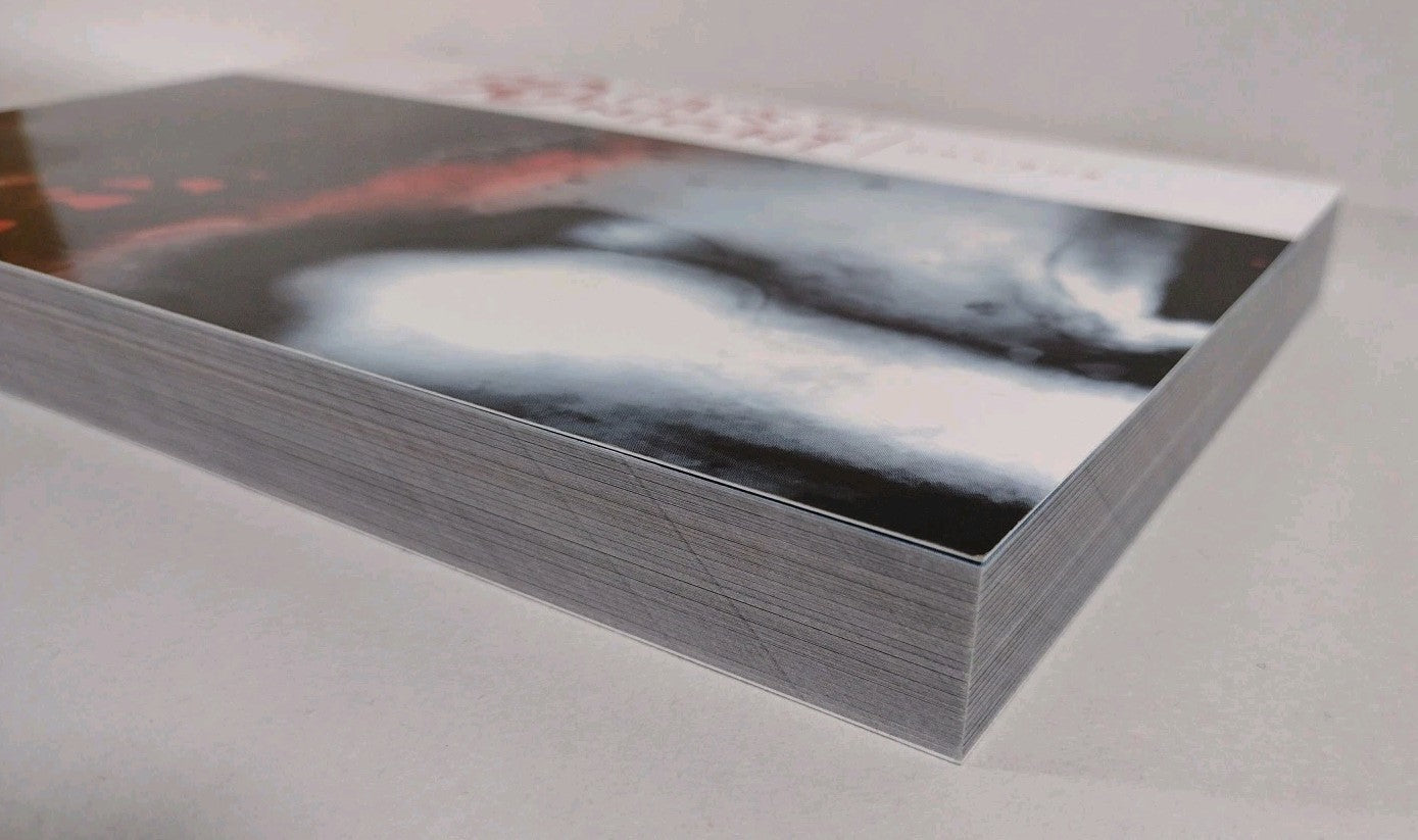 30 Days Of Night Omnibus (2019) IDW TPB SC Steve Niles Vampire Horror Comic