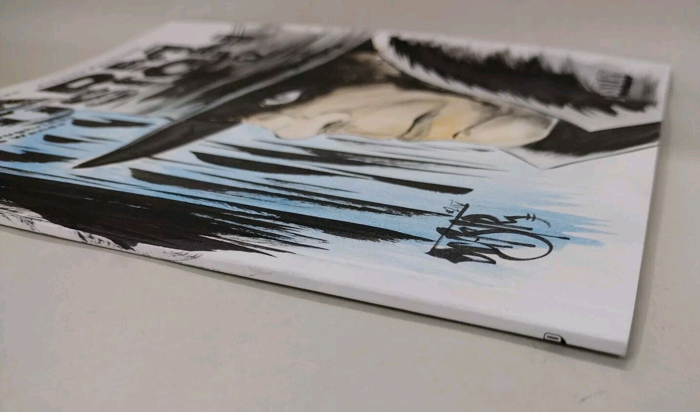 Warm Fusion #1 (2024) DSTLRY Sketch Cover Comic W Orignal Dave Castr Art ARG COA