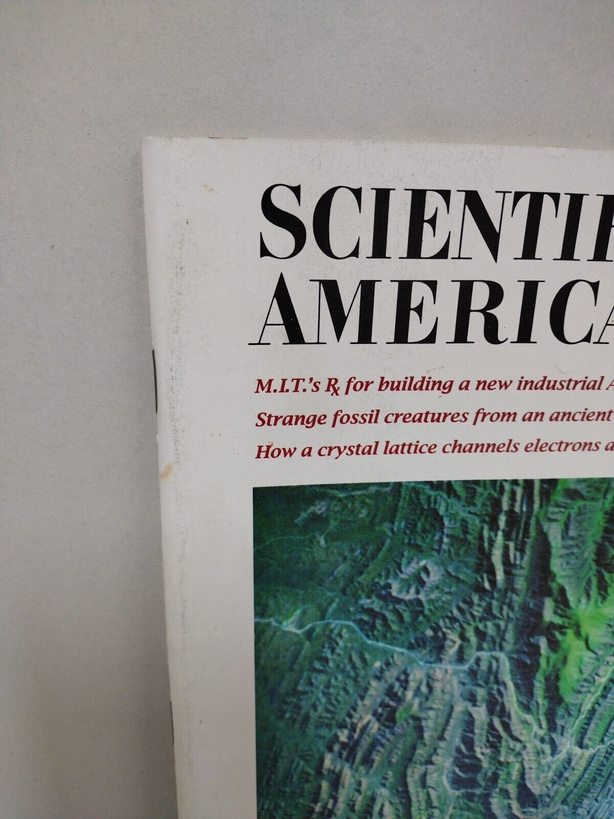 Scientific American #6 (Jun 1989) Found Fossils Crystal Lattice Channels VG