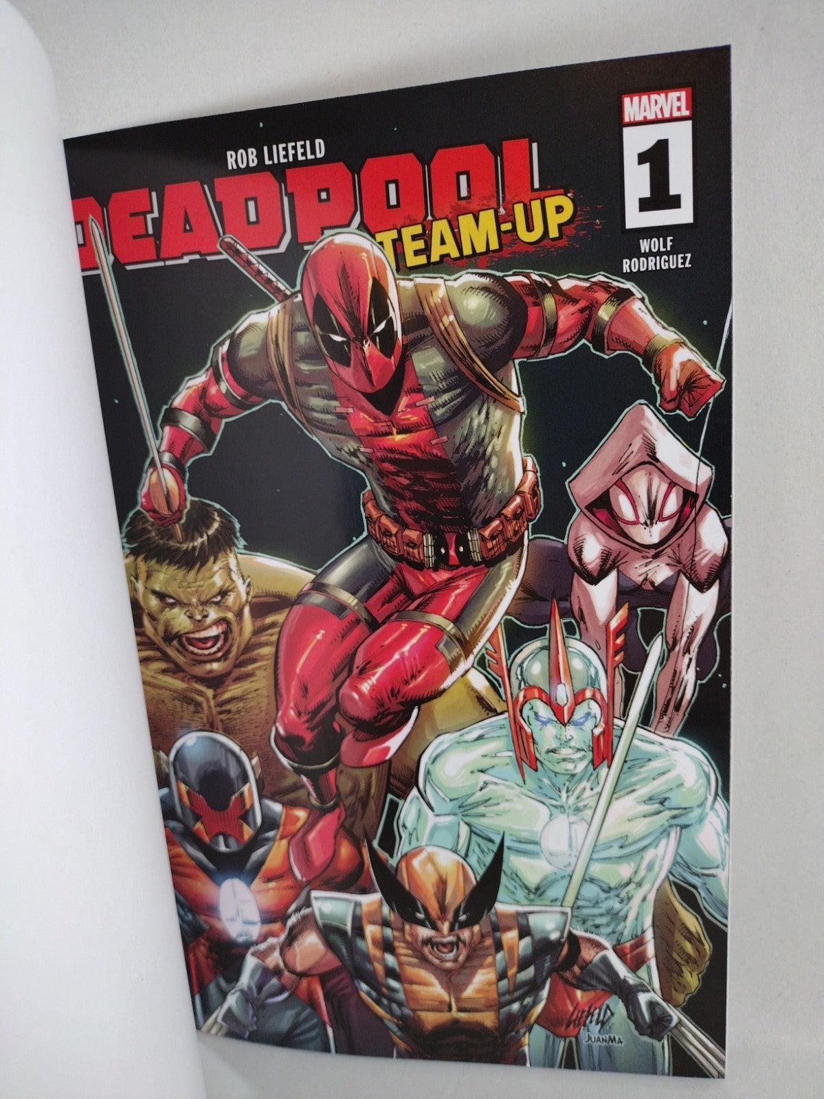 Deadpool Team-Up #1 (2024) Marvel Blank Sketch Cover Variant New NM