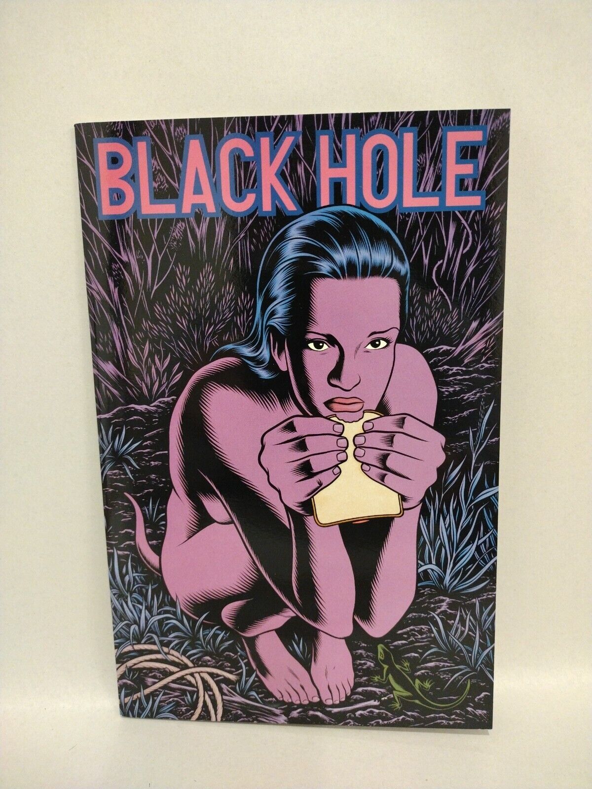 Black Hole #4 (1997) Kitchen Sink Fantagraphics Charles Burns Comic 1st Print 