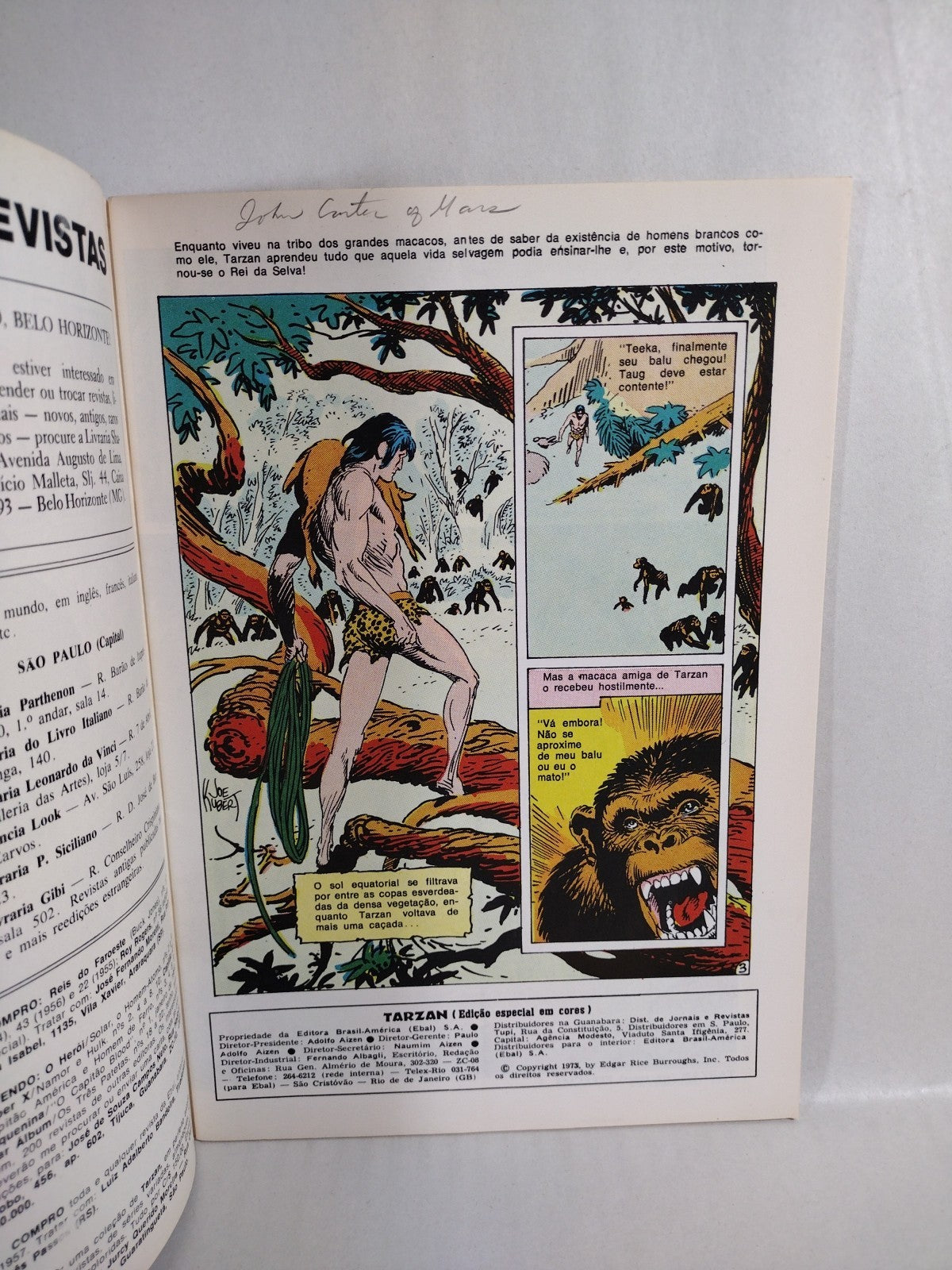 Tarzan (1973) EM Cores Brazilian DC Comic Lot #2 3 10 11 13 Special 2 Joe Kubert