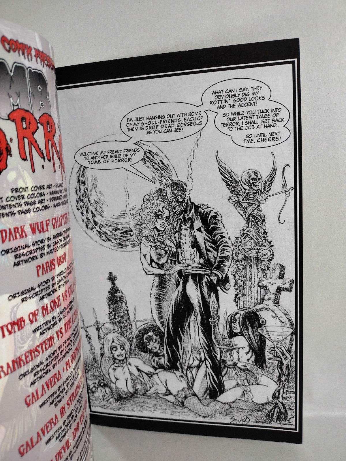 Blokes Tomb Of Terror #4 (2010) Virus Comix Teodorani Cover A Reader Copy