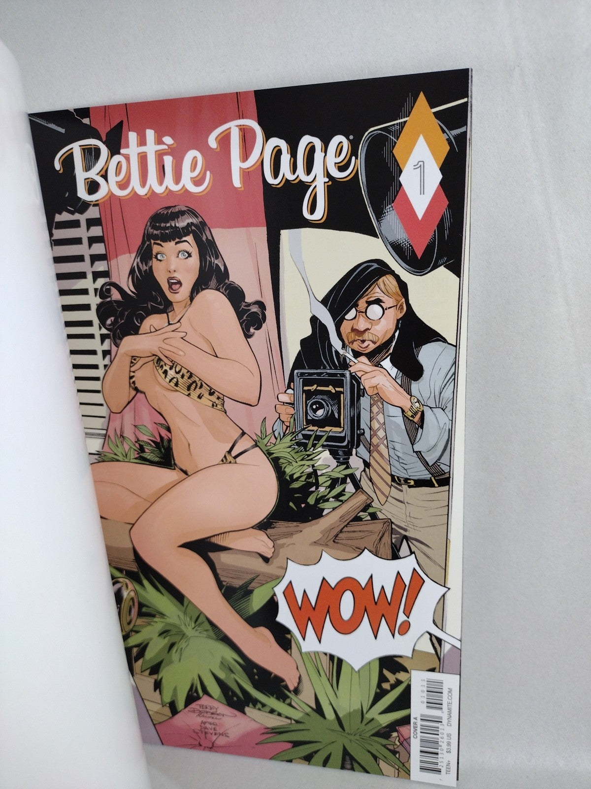 Bettie Page #1 (2017) Dynamite Blank Sketch Cover Variant Comic New NM