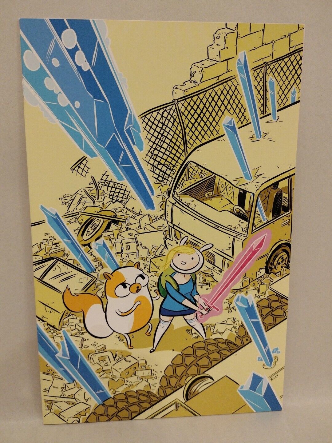 Adventure Time FIONNA & CAKE #1 (2013) Boom Studios Virgin Variant Cover D NM