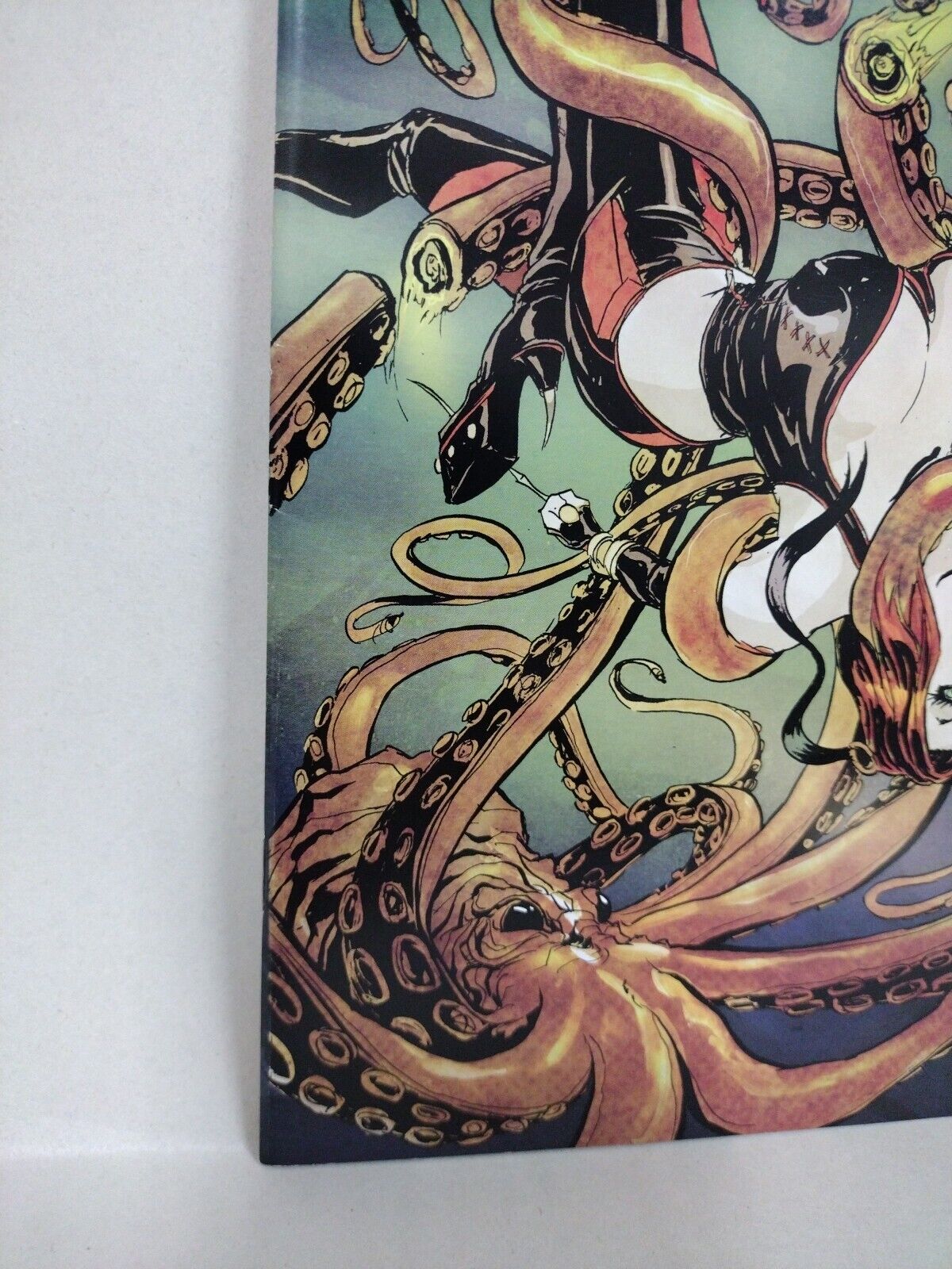 Bloodrayne Seeds Of Sin #1 (2005) Digital Webbing Comic Variant FN-VF