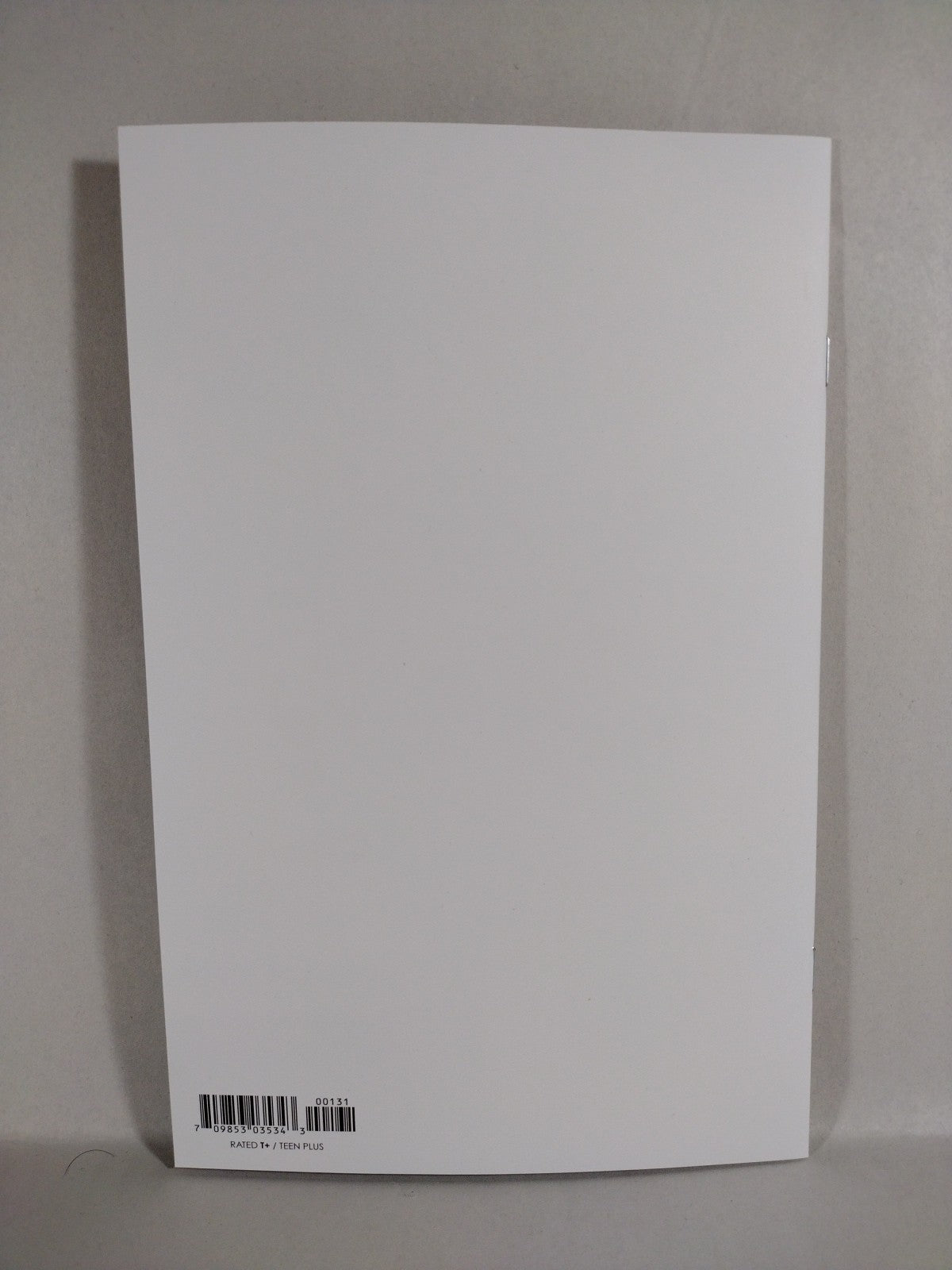 Shirtless Bear-Fighter 2 #1 (2022) Image Comic Blank Sketch Cover NM