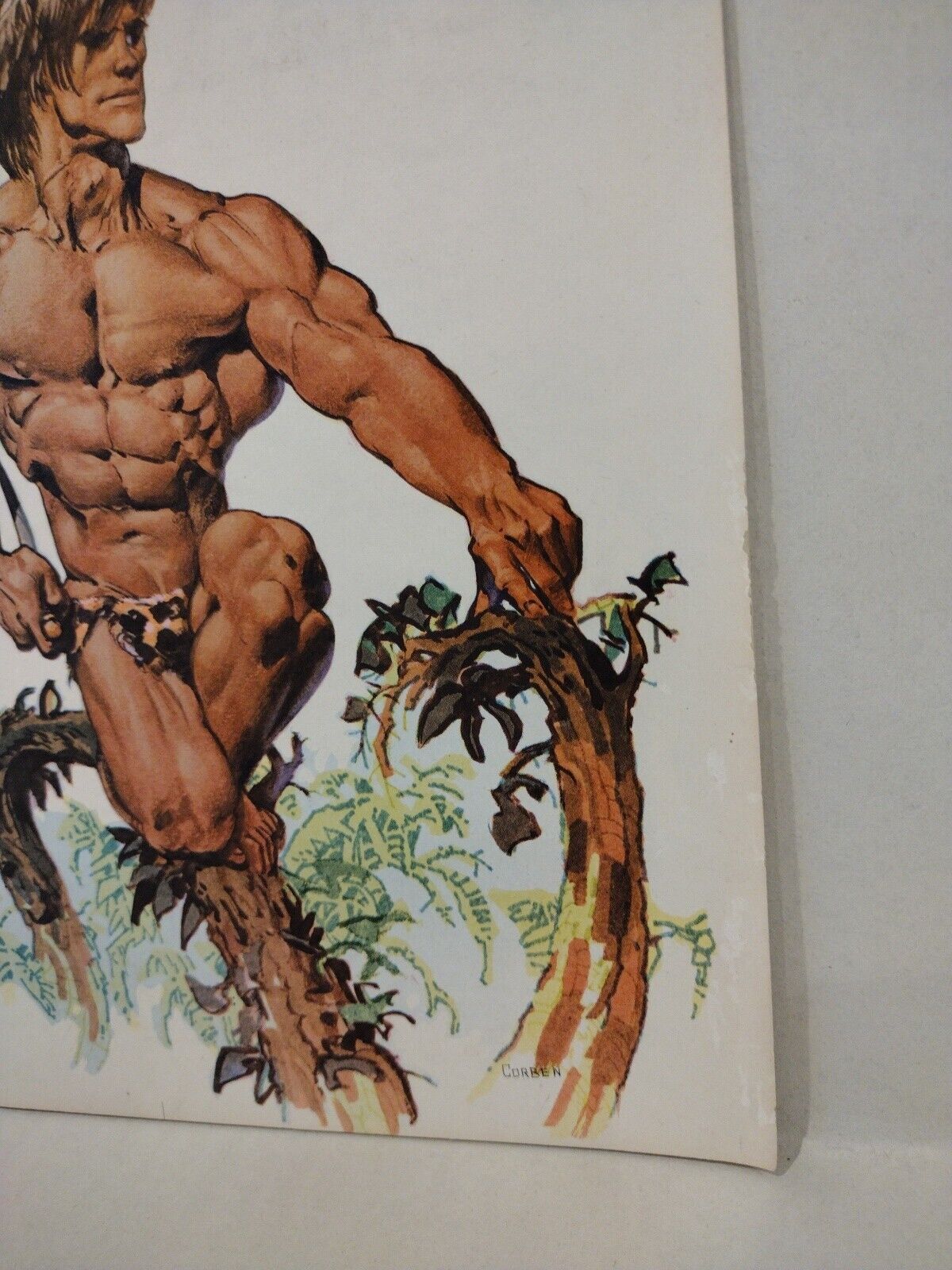 BURROUGHS BULLETIN #34 (1974) Edgar Rice Tarzan Fanzine Richard Corben Cover