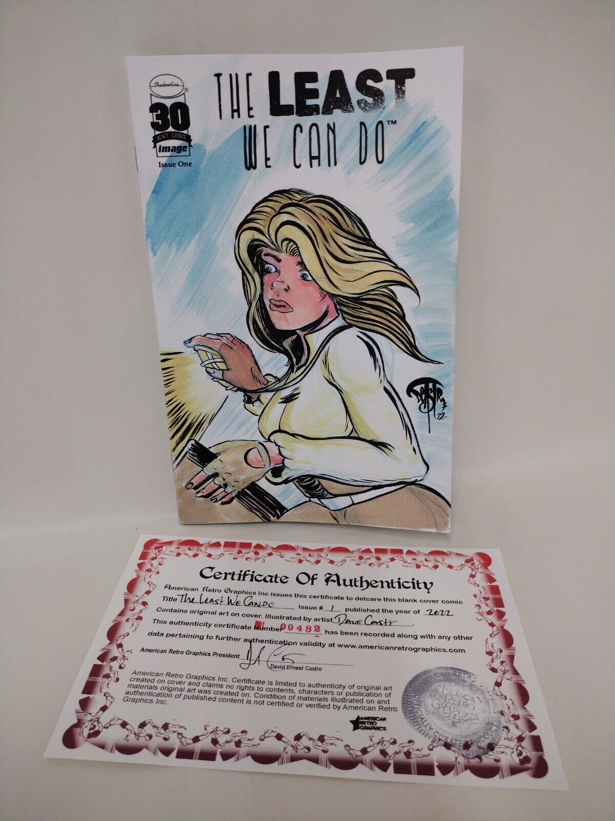 The Least We Can Do #1 (2022) Image Comic Blank Cover w Original DCastr Art COA