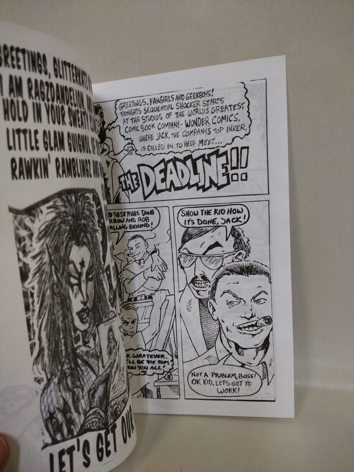 Rags Dandelion Comix 2010 Handmade Horror Comic Ashcan Set Plazmo Schlock N Roll