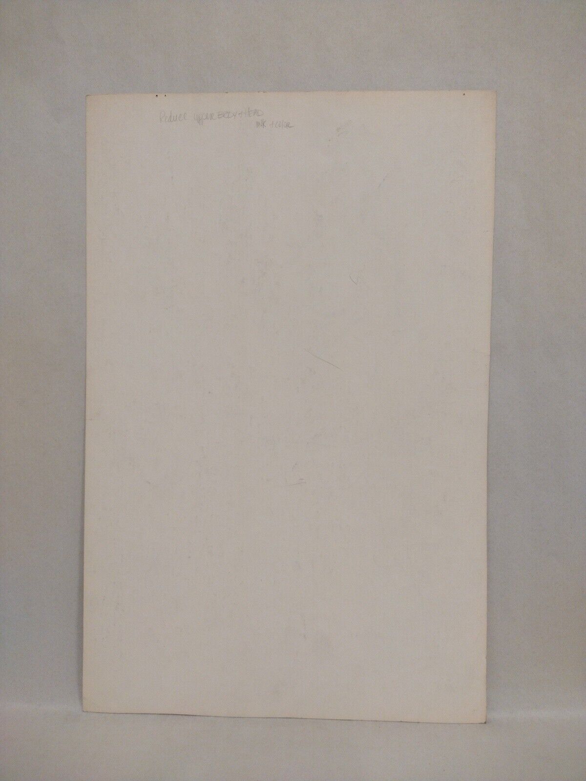 Original Woman Warrior Comic Art Pin-Up Unknown Artiat 11 X 17" Ballpoint Pen