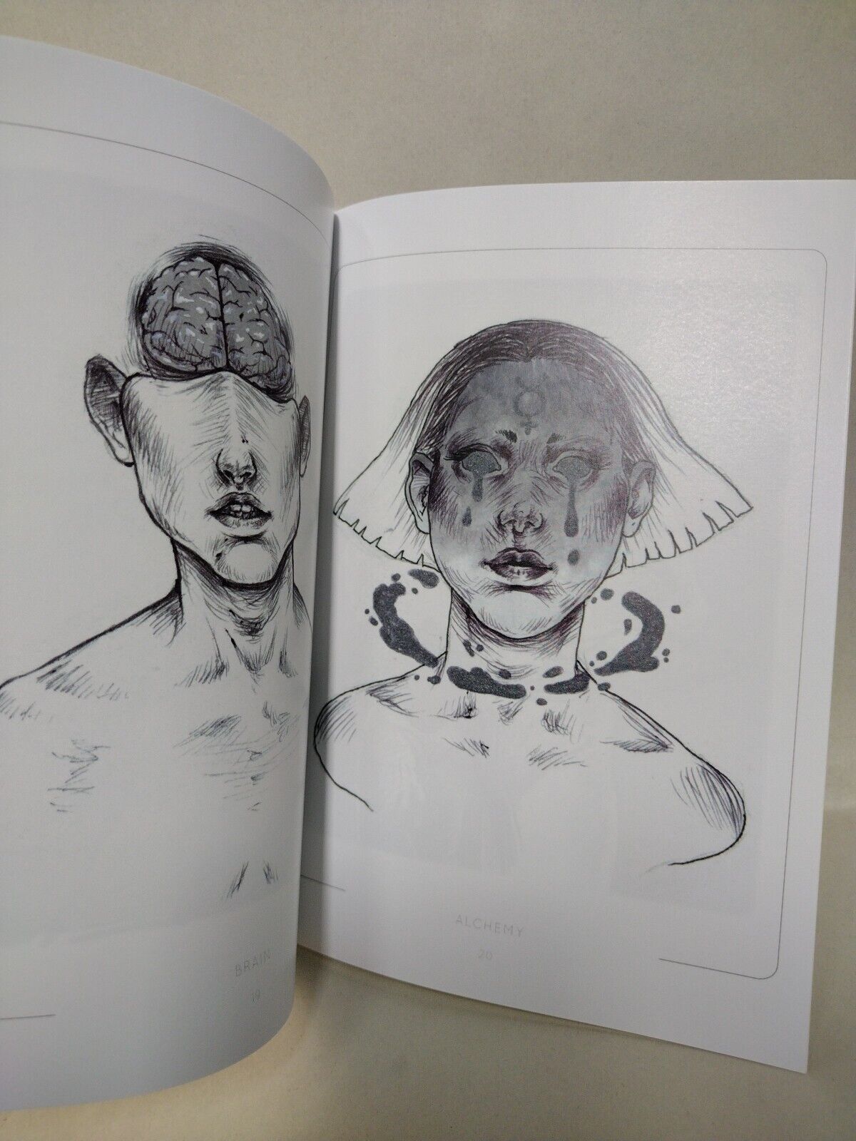 Rebecca Crossing Cole (2018) Artbook Body Horror Signed