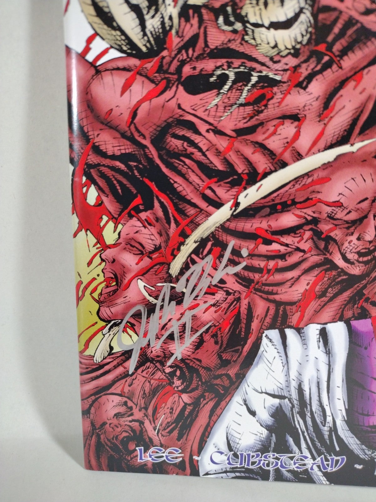Dirge Of Viqdis #2 (2013) Valkyrie Comic Fire Within 3X Signed Josh Lee Cubstead