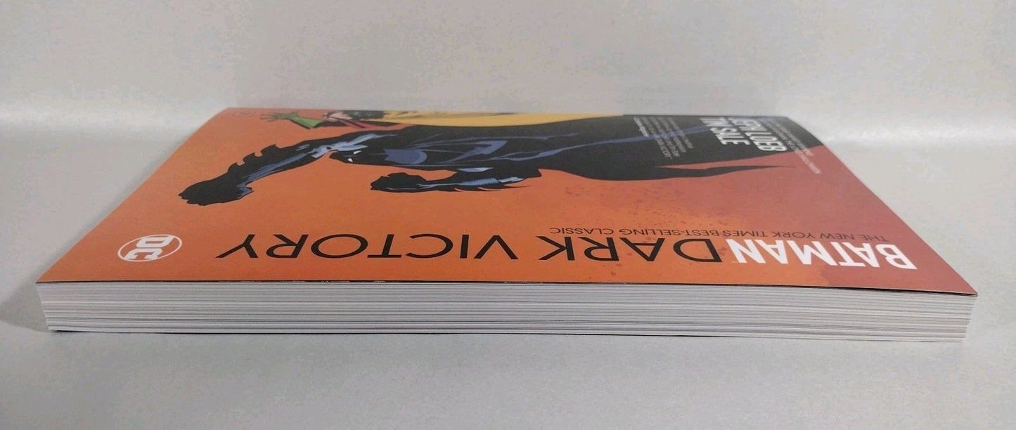 Batman Dark Victory (2014) DC Comics TPB Jeph Loeb Tim Sale New