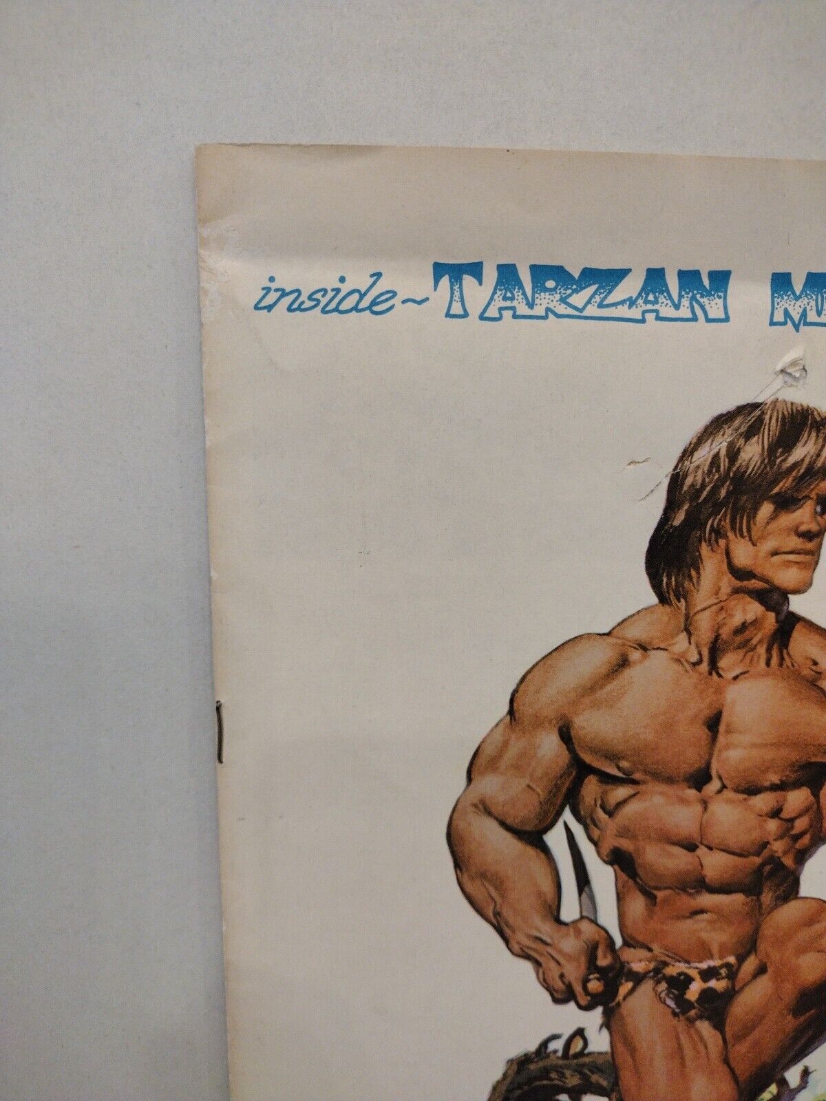 BURROUGHS BULLETIN #34 (1974) Edgar Rice Tarzan Fanzine Richard Corben Cover