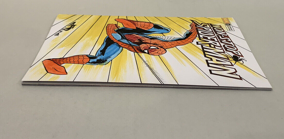 Non Stop Spider-Man #1 Blank Variant Cover Comic 2021 W DCastr Original Art