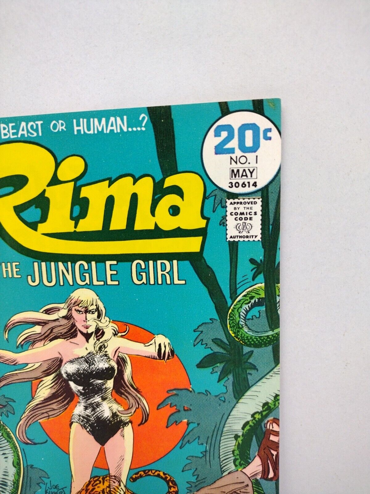 RIMA Jungle Girl #1 (1974) DC Comic Joe Kubert Cover Alex Nino Jack Oleck