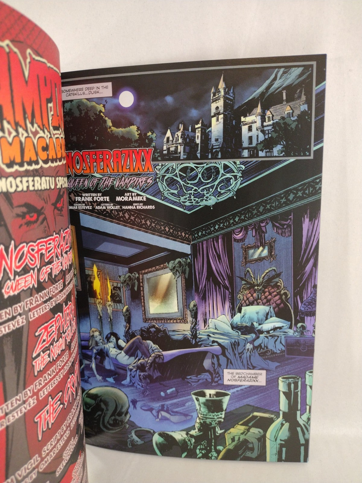 Vampire Macabre Noseratu Special 1 (2022) Asylum Press Blank Sketch Cover Comic