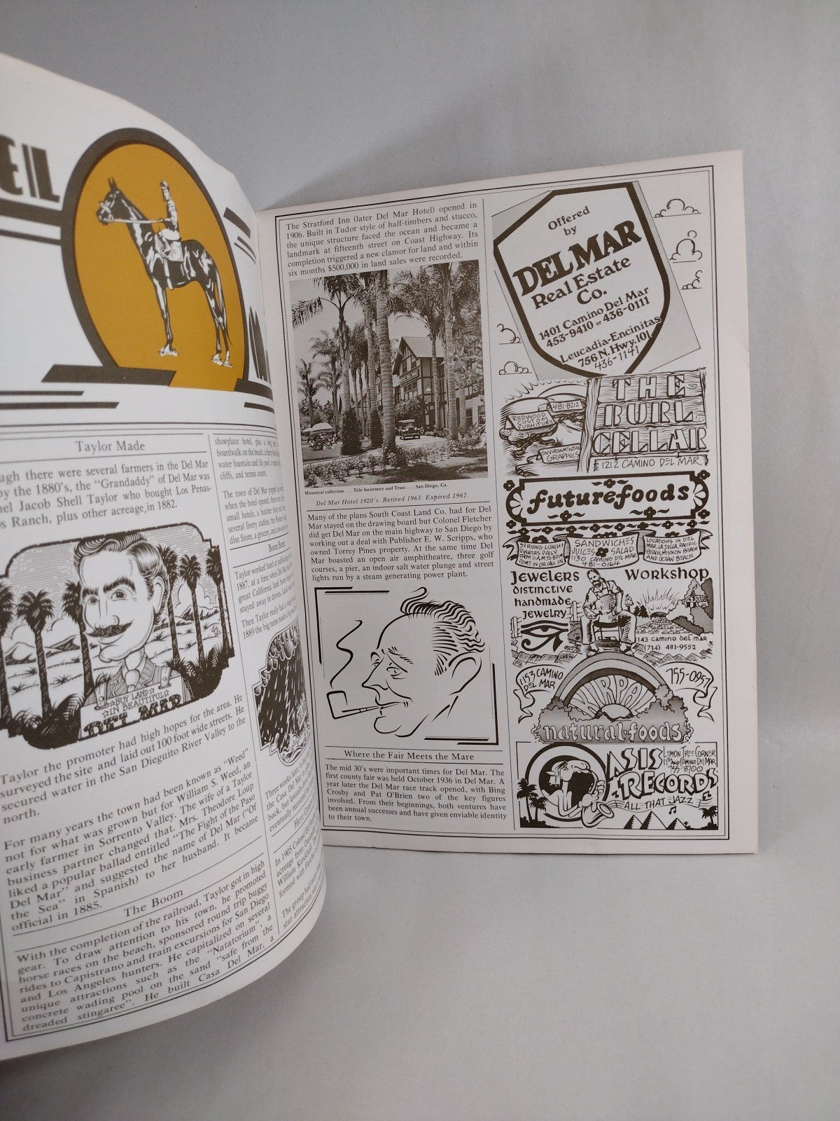SAN DIEGUITO (1975) An Illustrated History Magazine Terry Lamiz Rick Griffin Art