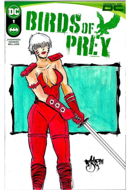 Birds Of Prey 1 (2023) Sketch Variant DC Comic w Original DCastr Zealot Art