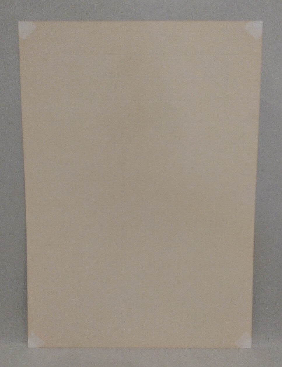Steve Woron (1989) Signed Linen Woman Illustration Print Numbered 41/90