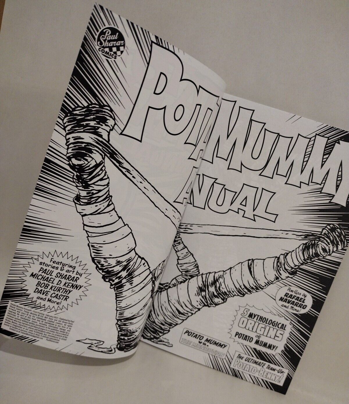 POTATO MUMMY ANNUAL #1 Sketch Cover Comic Variant Original DCastr Art COA