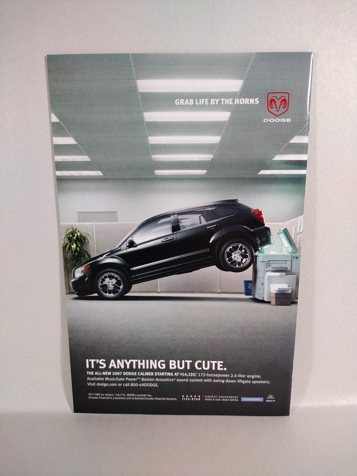 Catwoman (2006) DC Comic Lot #58 59 60 Adam Hughes Covers Zatanna Art VF-NM