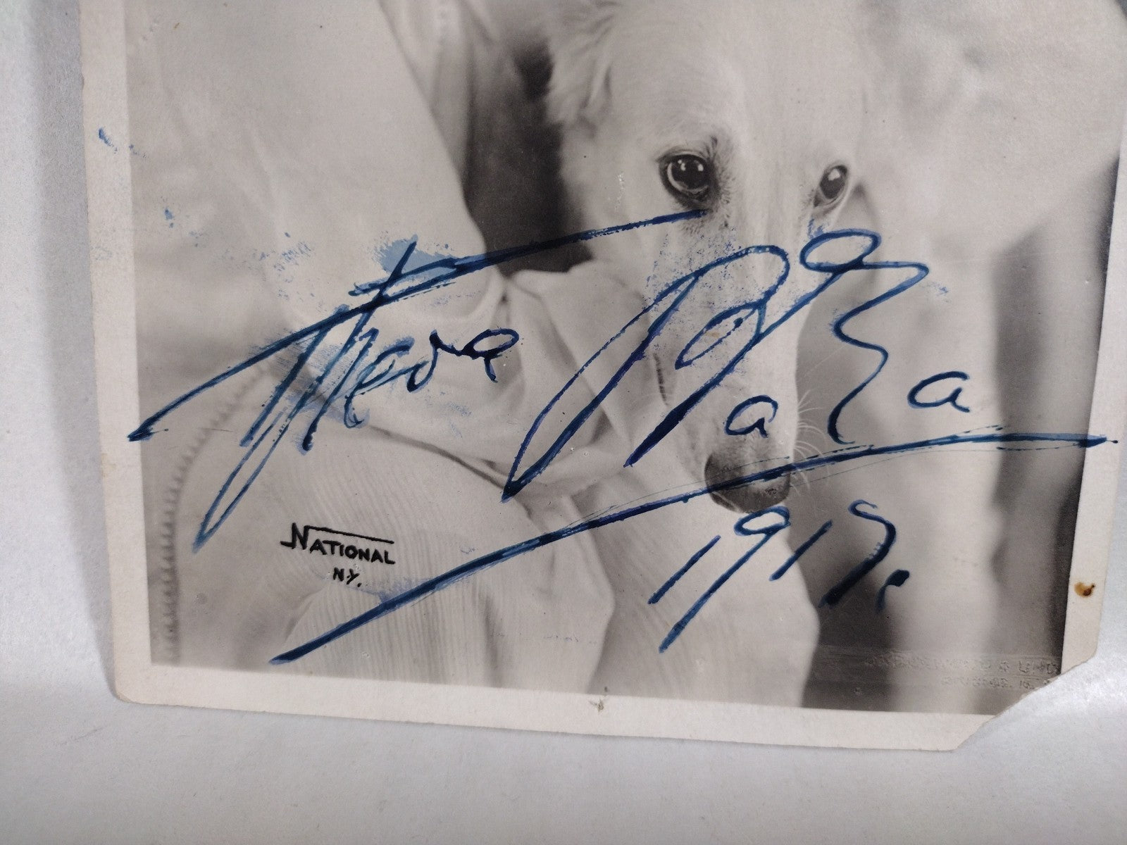 Theda Bara Vamp Silver Screen Actress 6 X 9" 1917 Sepia Photo Signed W JSA COA