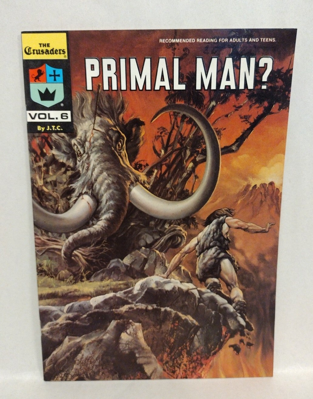 The Crusaders (1976) #6 Primal Man 7 The Ark Chick Publications Comic Lot 1st Pr