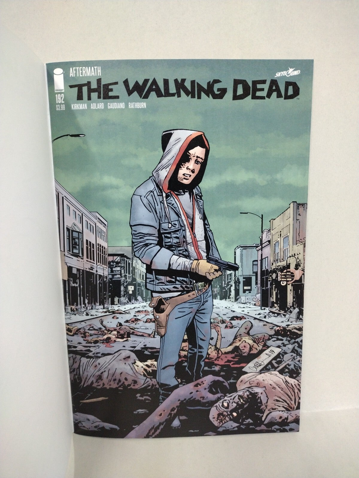 WALKING DEAD #192 (2019) Image Comic Sketch Cover w Original Dave Castr Art
