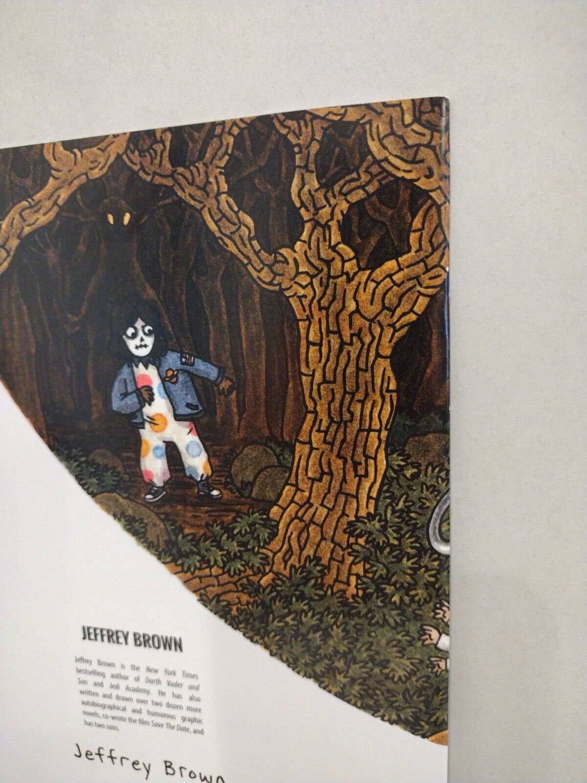 Over the Garden Wall 1 (2015) Boom Comic Jeffrey Brown 10 Anniversary Variant NM