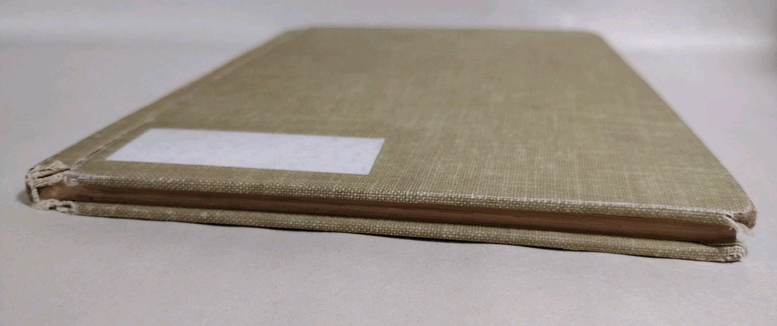 Monarch Butterfly 1960 Discarded Library Book W Original Dave Castr Color Art