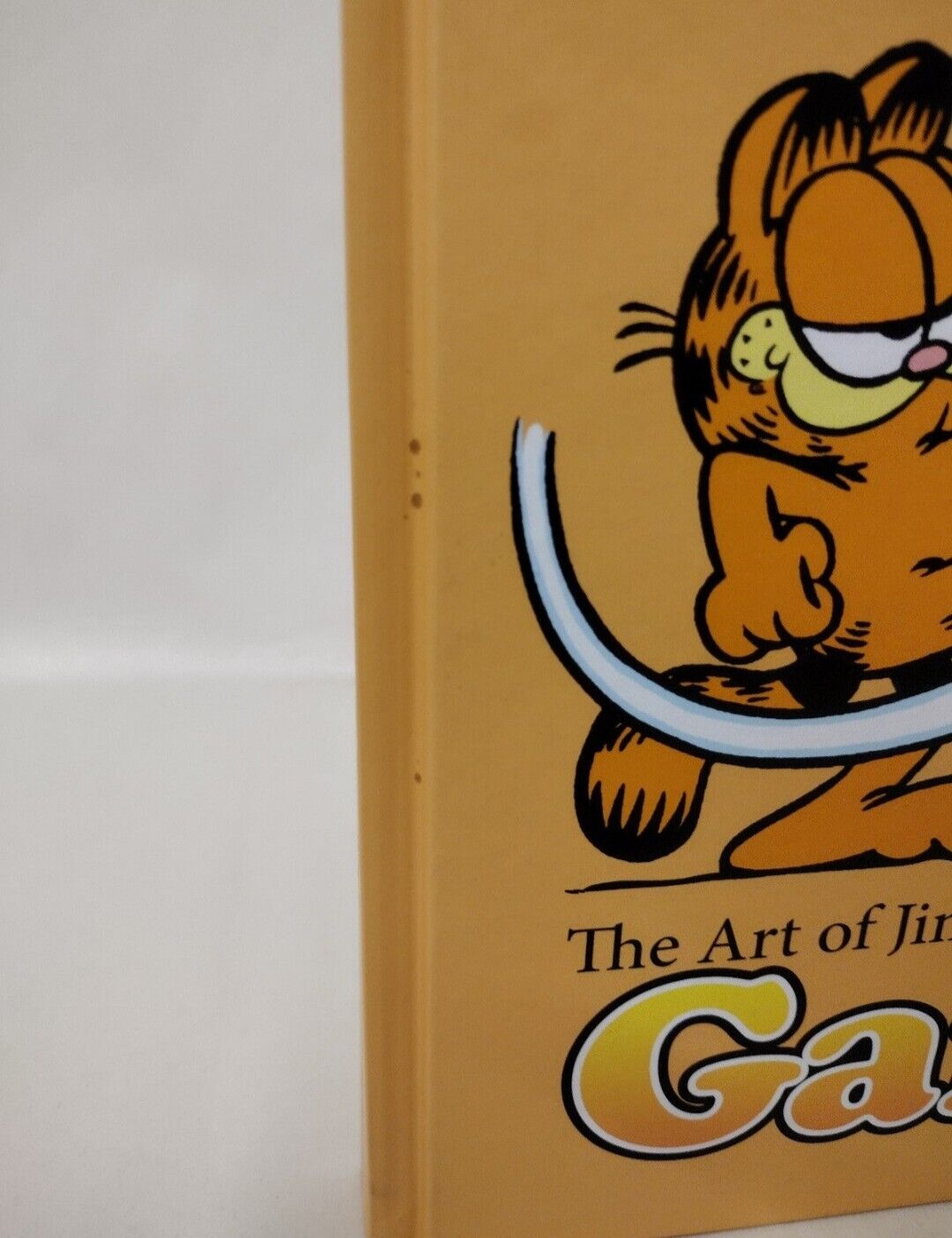 Garfield Art of Jim Davis (2016) Hermes Press Hardcover New Oversized HC