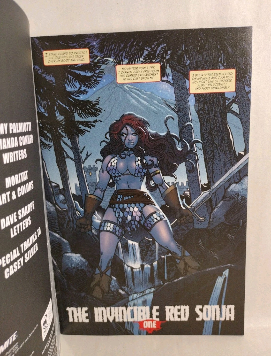 Invincible Red Sonja #1 (2016) Dynamite Blank Sketch Variant Cover Comic New NM