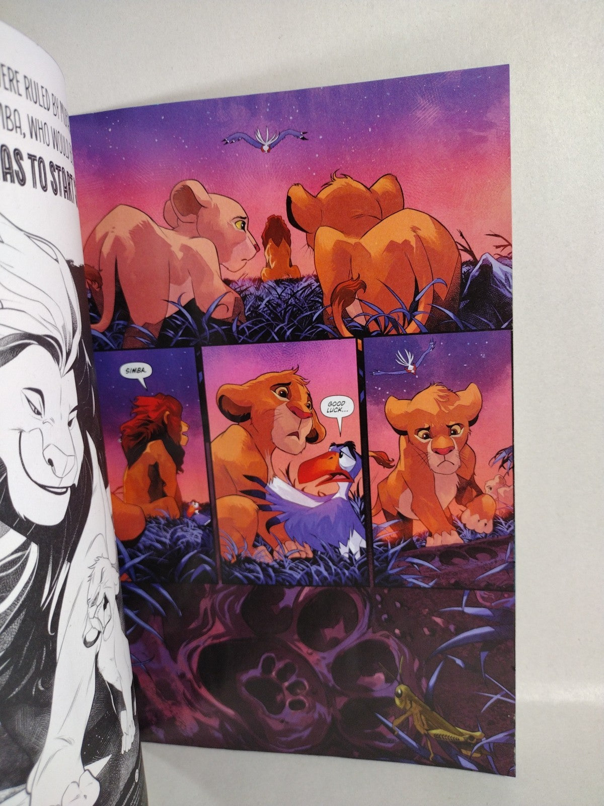 Lion King #1 Dynamite 2025 Sketch Variant Cover Comic W Original Zazu Art DCastr