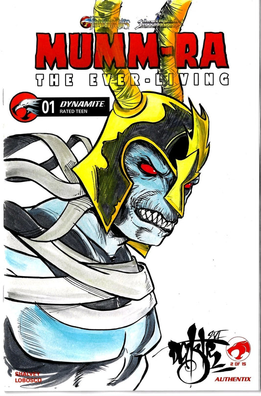 Mumm-Ra #1 (2026) Dynamite Sketch Cover Comic W Original DCastr Art