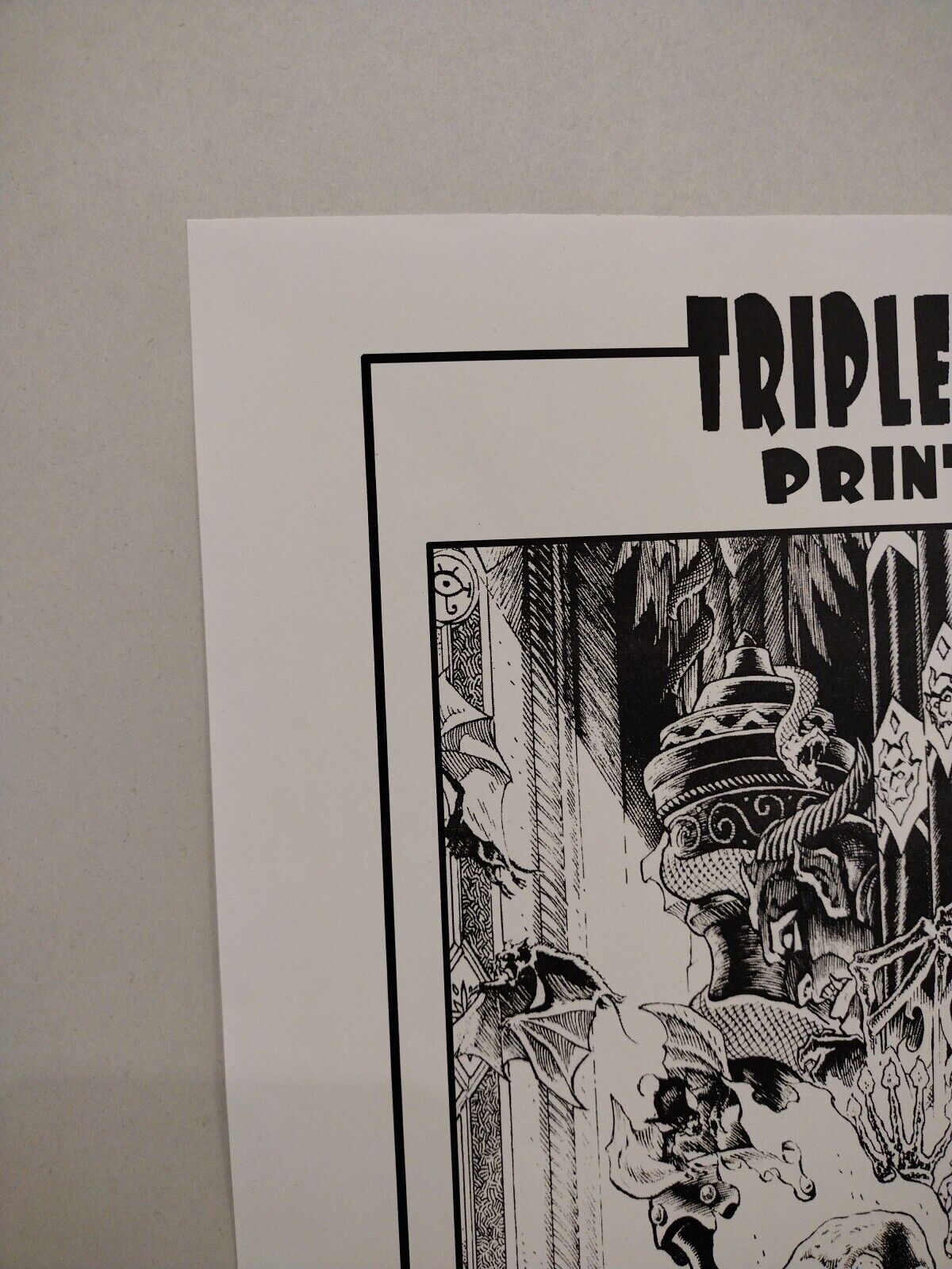 Tim Vigil Triple Threat 2010 Cover Print Only Signed