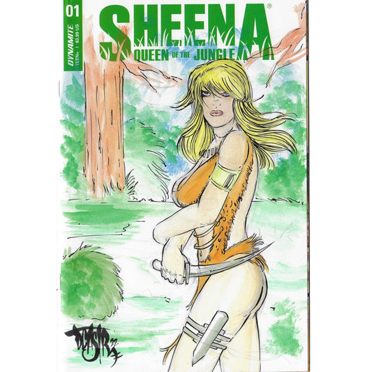 Sheena Queen of The Jungle #1 (2021) Blank Cover Comic w Original Art Dcastr 