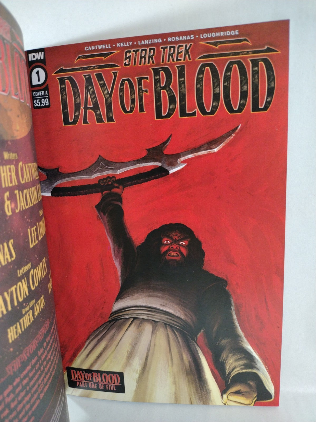 Star Trek Day Of Blood #1 (2023) IDW Cover D Red Blank Sketch Cover NM