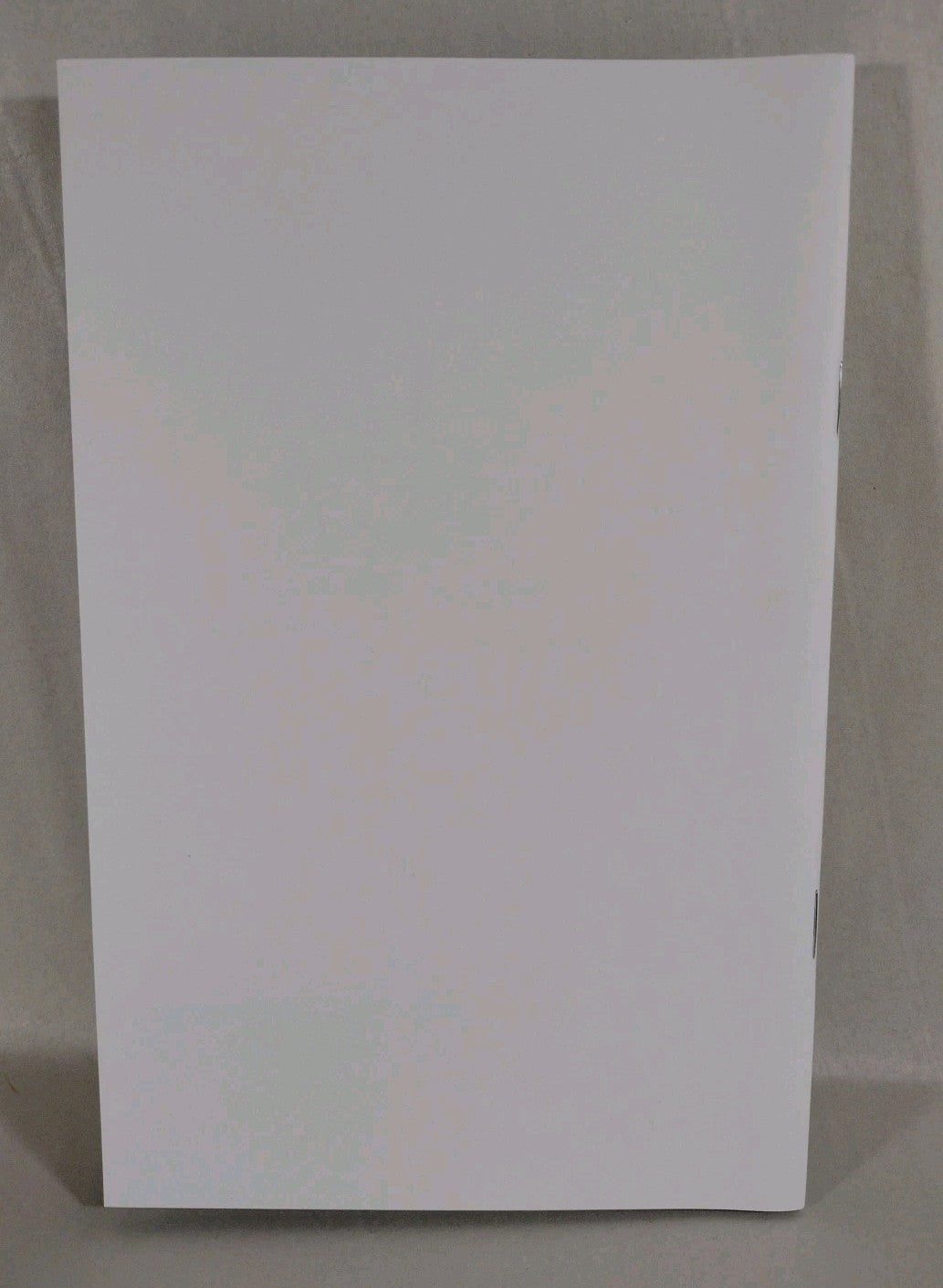 Zombie Terrors Halloween Special #1 (2021) Asylum Sketch Blank Cover Comic NM