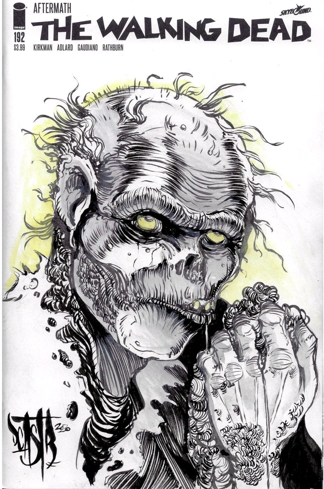 WALKING DEAD #192 (2019) Image Comic Sketch Cover w Original Dave Castr Art