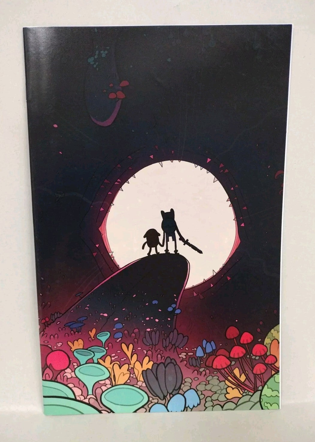 Adventure Time #17 (2013) Boom Comic Cover C Jemma Salume Virgin Variant VF-NM