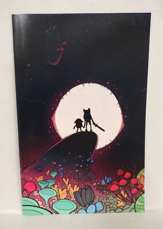 Adventure Time #17 (2013) Boom Comic Cover C Jemma Salume Virgin Variant VF-NM