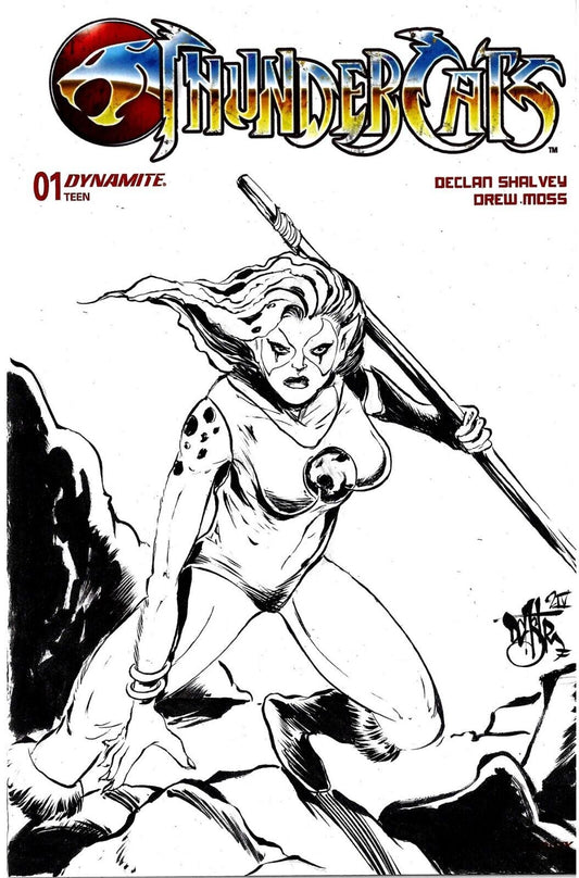 Thundercats #1 (2024) Dynamite Sketch Cover Comic W Original DCastr Cheetara Art